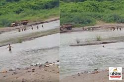 रेत तस्करों को पकड़ने नदी में कूदे तहसीलदार, तैरकर किया पीछा, दबंग कार्रवाई का
वीडियो हुआ वायरल - image