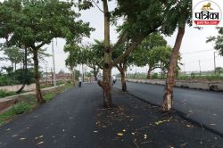 वन विभाग की जमीन पर बिना पेड़ हटाए बना दी सौ करोड़ की सड़क, विभाग ने निर्माण
एजेंसी के खिलाफ शुरू की कार्रवाई - image