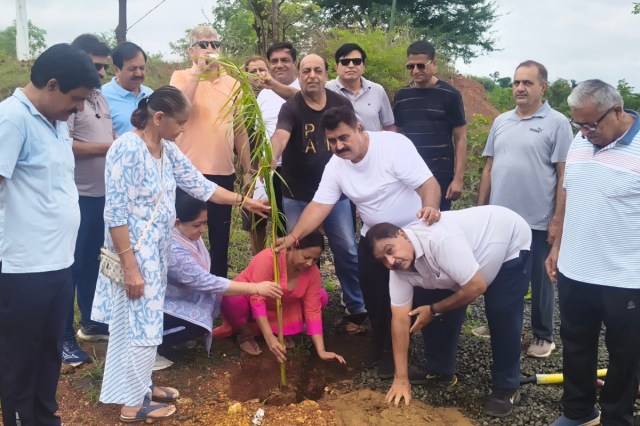 Plantation Campaign Jagriti Park katni madhavnagar