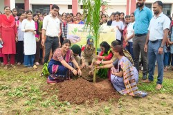 पत्रिका हरित प्रदेश अभियान: गर्ल्स कॉलेज में उत्साह के साथ छात्राओं ने रोपे
फलदार व छायादार पौधे - image