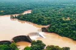 धरती का स्वर्ग: 110 साल पुराना ऊमरडोली बांध बना आकर्षण का केंद्र, प्रदेश का
इकलौता आर्च डैम - image