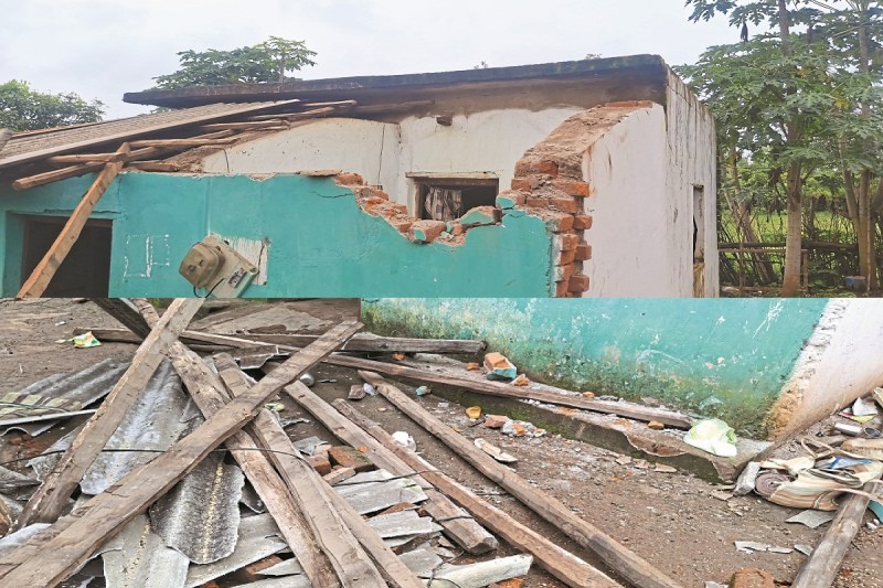 जंगलों से लगे गांवों में दहशत (Photo source- Patrika)