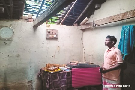 गांव में भालुओं का आतंक जारी (Photo source- Patrika)