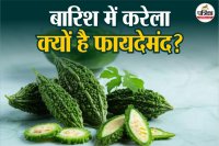 Health benefits of bitter gourd in rainy season फोटो सोर्स – Freepik