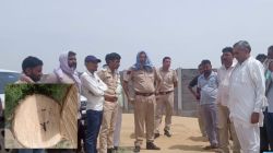 बीकानेर में रात में काटी 191 खेजड़ी, रोकने गए ग्रामीणों पर की गई फायरिंग - image
