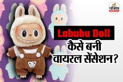 Viral News: भूतिया हंसी से मशहूर हुई Labubu Doll, कैसे बनी इंटरनेट सेंसेशन?
जानिए पूरी कहानी - image
