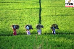 Bihar Bhumi: राजस्व एवं भूमि सुधार विभाग का बड़ा फैसला, जानें चकबंदी वाले गांवों
में किसे मिलेगा मुआवजा - image