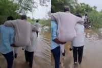 MLA Vidyadhar Singh Chaudhary