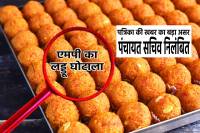 MP Laddu Ghotala Big Action After Patrika News
