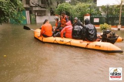 सड़कें डूबी, पेड़ उखड़े, स्कूल-कॉलेज बंद! नागपुर में बारिश ने बरपाया कहर, NDRF
और SDRF स्टैंडबाई पर - image