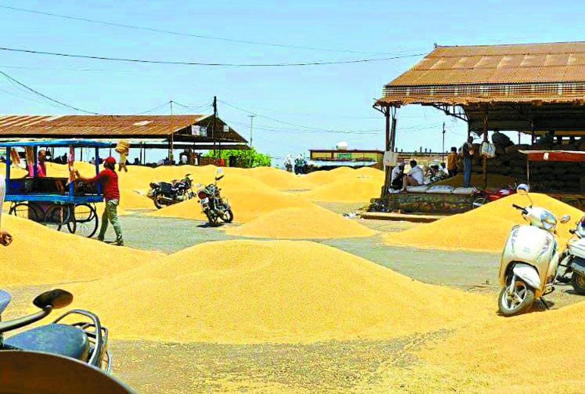Mandi new