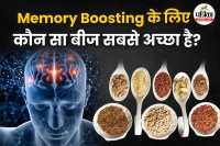 Memory Booster Seeds