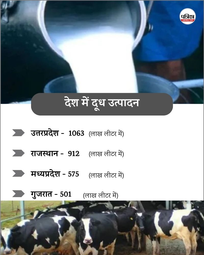 Rajasthan Milk Production