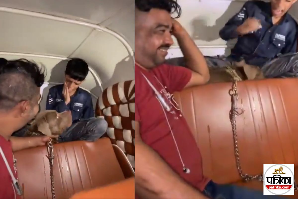 Mumbai Pitbull attack crime