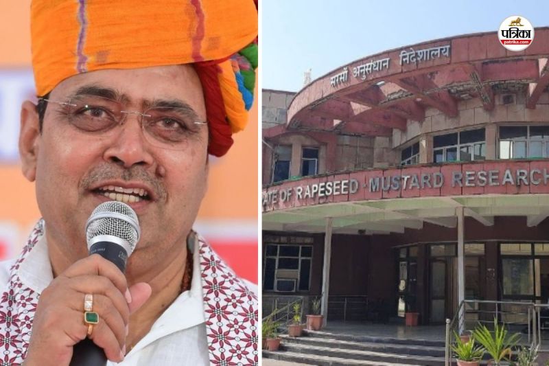 Rajasthan Farmers are happy DRMR Bharatpur very good news 2 new varieties of mustard got national status