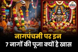 Nag Panchami Puja 2025: नागपंचमी पर 7 नागों की पूजा से मिलता है ये फल, जानिए किस
नाग पूजन से क्या मिलता है लाभ - image