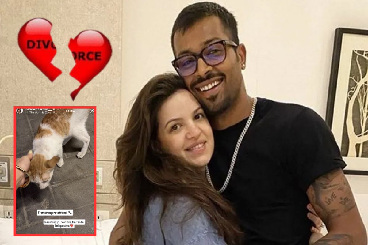 हार्दिक से तलाक के बाद नताशा ने अजनबियों से दोस्ती पर किया पोस्ट, लिखा- किसी भी
चीज में…