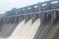 heavy rain alert Tawa Dam 7 gates opened narmadapuram (