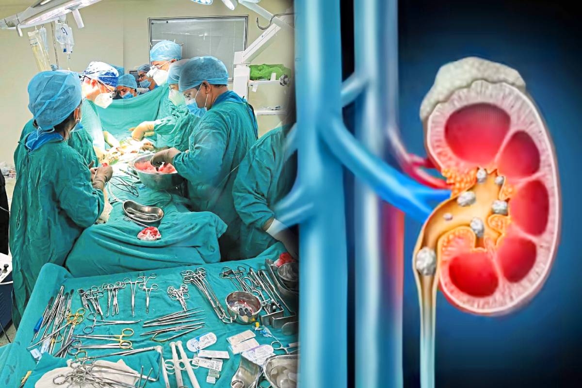 फोटो सोर्स: पत्रिका