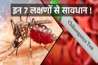 फोटो सोर्स: पत्रिका