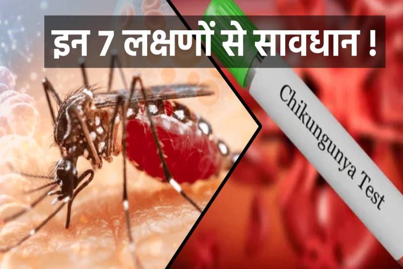 फोटो सोर्स: पत्रिका