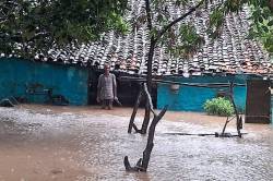 तेंदूखेड़ा तारादेही क्षेत्र में बाढ़ के हालात, लोगों को निकालने का काम जारी - image