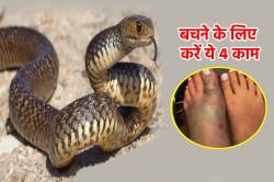 मात्र 6-7 घंटे में पूरी तरह फैल जाता ‘सांप का जहर’, हो सकते है ‘लकवाग्रस्त’ - image