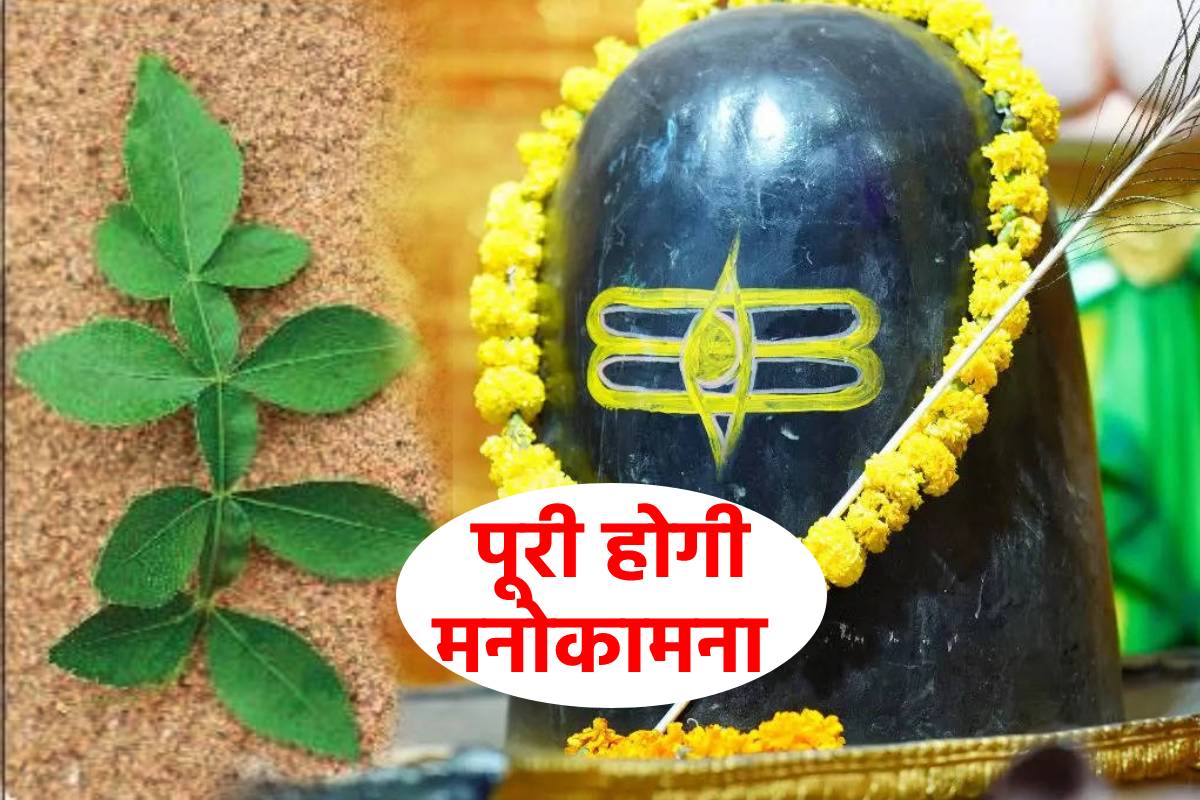 करोड़पति बना देगा ’21 पत्ती’ वाला बेलपत्र, भारत में सिर्फ यहां मिलेगा