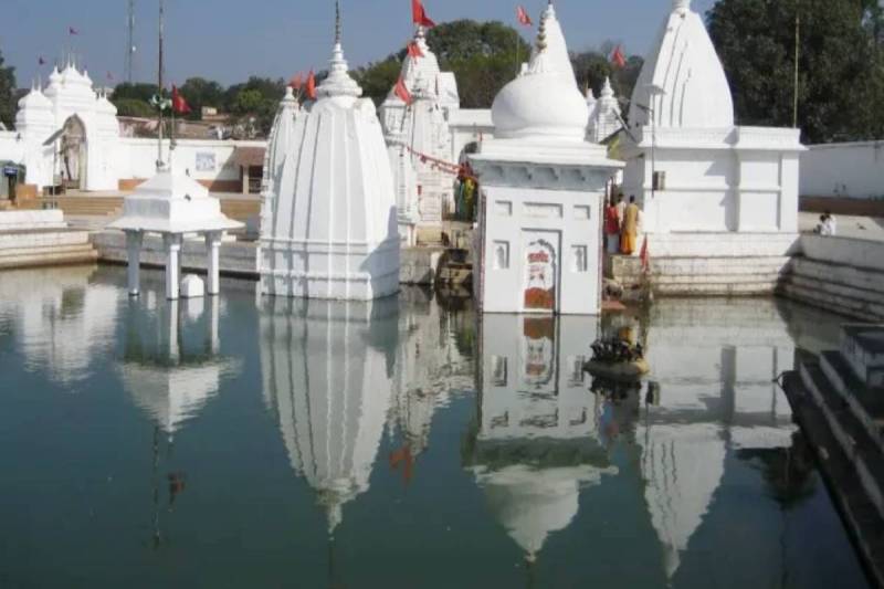 (फोटो सोर्स: सोशल मीडिया)