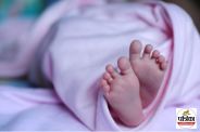 Newborn found in bushes