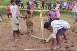 Odisha Crime News: कपल को बैलों की तरह बांधकर खेत जोता, मंदिर ले जाकर किया
शुद्धिकरण, वीडियो वायरल - image