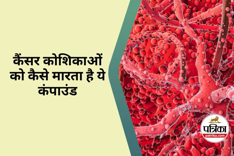 Olive oil compound Kills Cancer