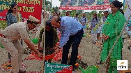 One tree in name of mother campaign started in Amroha