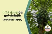 Papaya Leaf Benefits