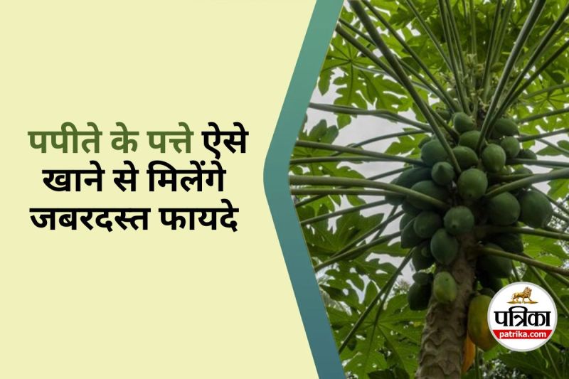 Papaya Leaf Benefits