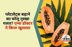 Papaya Leaves for Dengue : पपीते के पत्तों से प्लेटलेट्स बढ़ाने वाले दावे झूठे,
एम्स के डॉ. का बड़ा खुलासा - image
