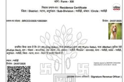 Dog Babu Viral Certificate: ‘डॉग बाबू’ निवास प्रमाण पत्र मामले में एक अधिकारी
निलंबित, दूसरा बर्खास्त - image