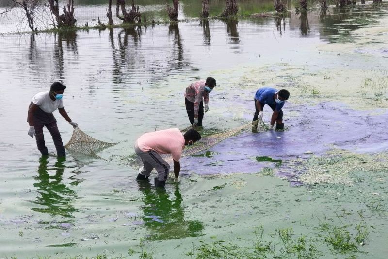 प्रशासन ने तालाब से गंदगी निकालना शुरू किया