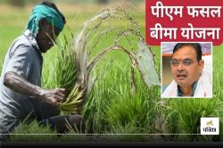 PM Crop Insurance Scheme : राजस्थान के किसान हो जाएं अलर्ट, 31 जुलाई है अंतिम
डेट, कैसे मिलेगा फायदा जानें - image