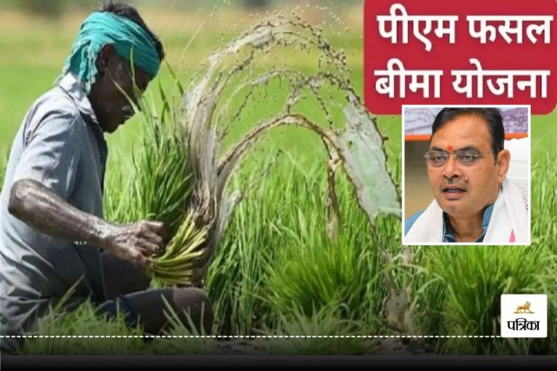 Pradhan Mantri Fasal Bima Yojana Update Rajasthan Farmers Should be Alert 31 July is Last Date know how to get benefit