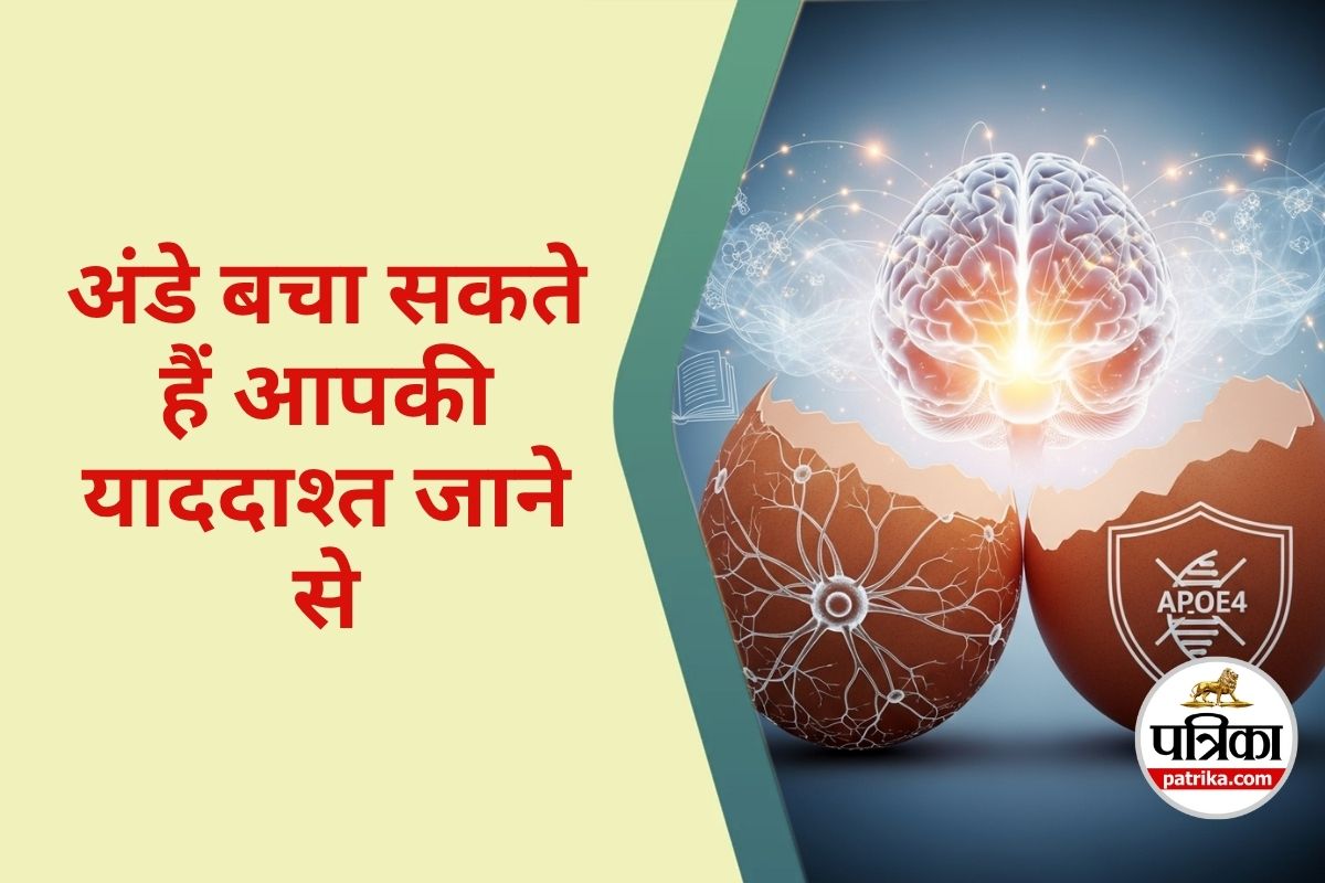 Prevent Alzheimer’s : हफ्ते में सिर्फ 2 अंडे बचा सकते हैं आपकी याददाश्त खोने से,
जानिए कैसे मिलेगा फायदा