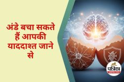 Prevent Alzheimer’s : हफ्ते में सिर्फ 2 अंडे बचा सकते हैं आपकी याददाश्त खोने से,
जानिए कैसे मिलेगा फायदा - image
