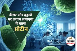 Protein to Fight Cancer : कैंसर और बुढ़ापे को रोकने में मददगार बनेगा ये खास
प्रोटीन, ऑस्ट्रेलियाई वैज्ञानिकों की नई खोज - image