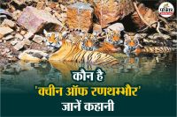 World Tiger Day Queen tigress of Ranthambore Machhli who made Rajasthan home of tigers