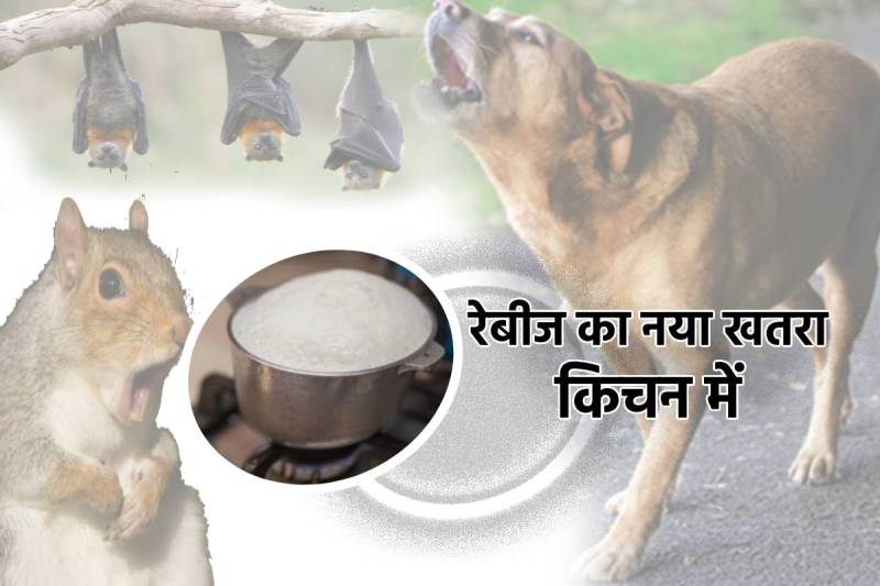 Rabies Alert in MP