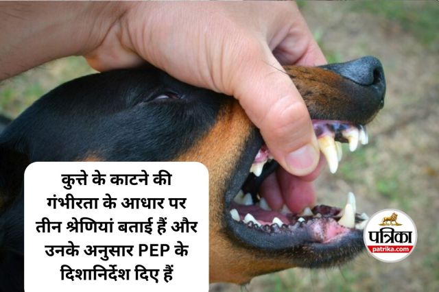 Guidelines for Rabies PEP