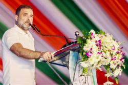 यूपी में फिर सियासी पारा बढ़ाएंगे राहुल गांधी, 17 जुलाई को रायबरेली में क्या
होगा? - image