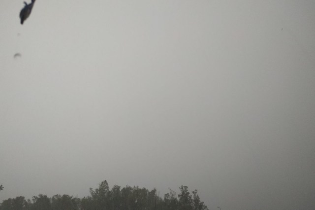  Rain Alert