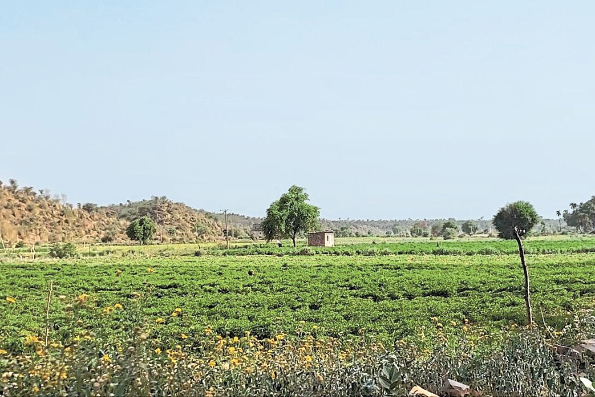 Jaipur: जमकर बरसे बादल, भर गए 181 बांध, रामगढ़ बांध पर अतिक्रमण का ग्रहण