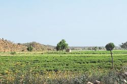 Jaipur: जमकर बरसे बादल, भर गए 181 बांध, रामगढ़ बांध पर अतिक्रमण का ग्रहण - image